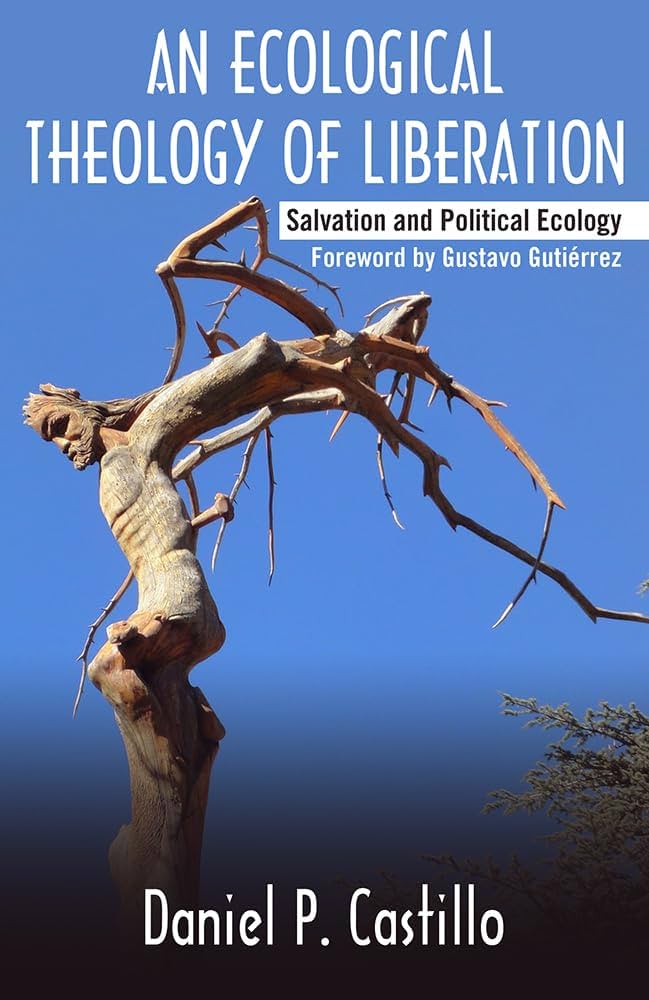 What Does it Mean to Be Saved? Reflections on David Castillo’s “An Ecological Theology of Liberation”